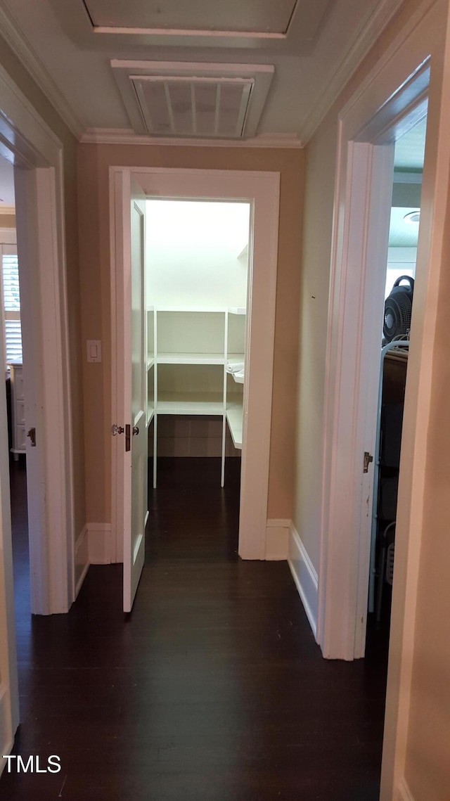 2236 The Cir, Raleigh, NC 27608 - corridor featuring dark wood-style flooring, ornamental molding, and baseboards