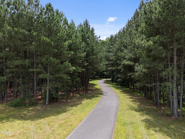 5942 Big Nance Dr, Raleigh, NC 27616 - view of road featuring a wooded view