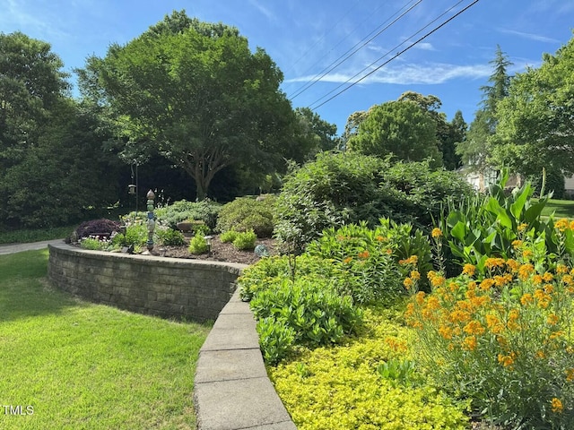 582 Wimbleton Dr, Raleigh, NC 27609 - view of grassy yard