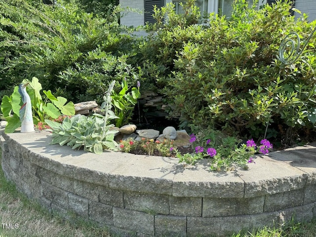 582 Wimbleton Dr, Raleigh, NC 27609 - view of yard
