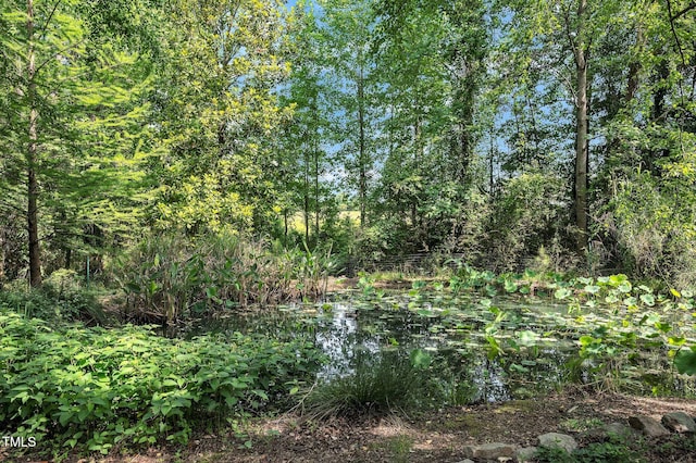 582 Wimbleton Dr, Raleigh, NC 27609 - view of undeveloped land