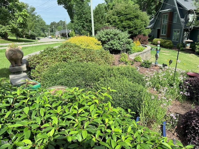 582 Wimbleton Dr, Raleigh, NC 27609 - view of yard