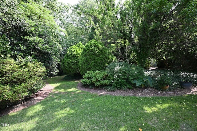 582 Wimbleton Dr, Raleigh, NC 27609 - view of grassy yard