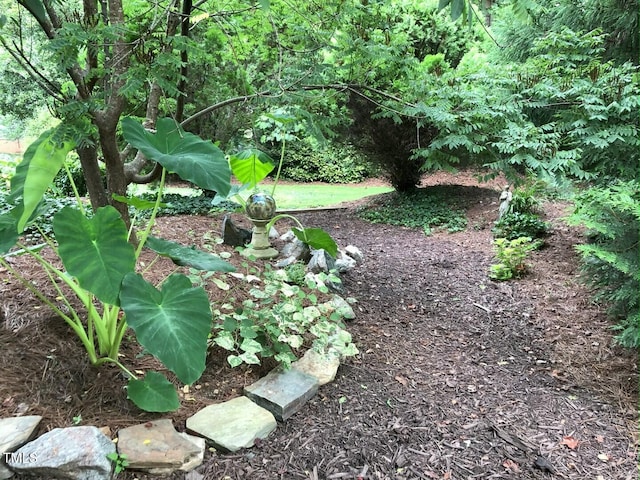 582 Wimbleton Dr, Raleigh, NC 27609 - view of nature