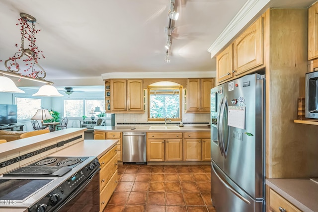 582 Wimbleton Dr, Raleigh, NC 27609 - kitchen featuring stainless steel appliances, a sink, plenty of natural light, tasteful backsplash, and ornamental molding