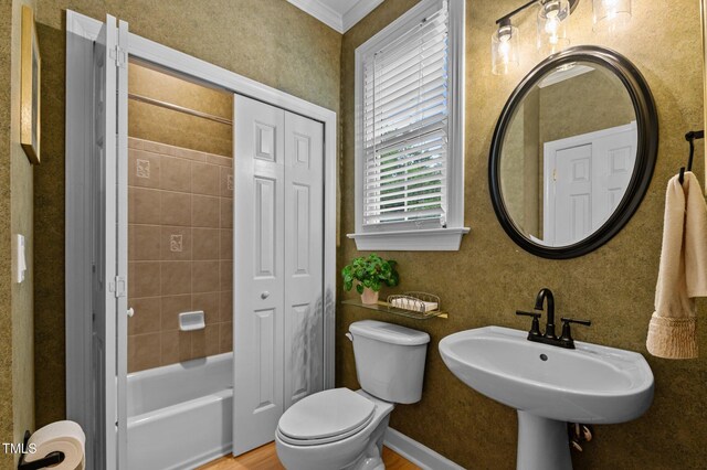 13121 Sargas St, Raleigh, NC 27614 - bathroom with toilet, crown molding, and a sink
