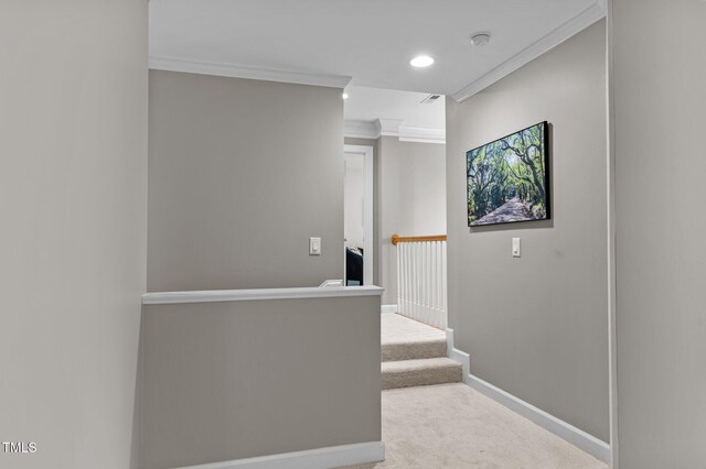 13121 Sargas St, Raleigh, NC 27614 - hallway with carpet floors, crown molding, baseboards, and recessed lighting