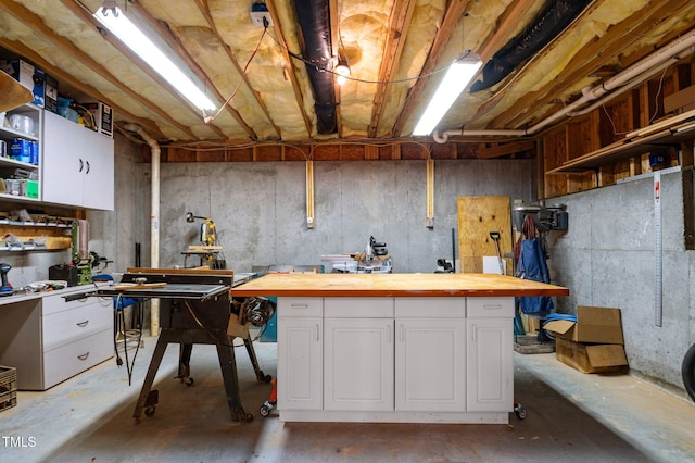 13121 Sargas St, Raleigh, NC 27614 - unfinished basement with a workshop area