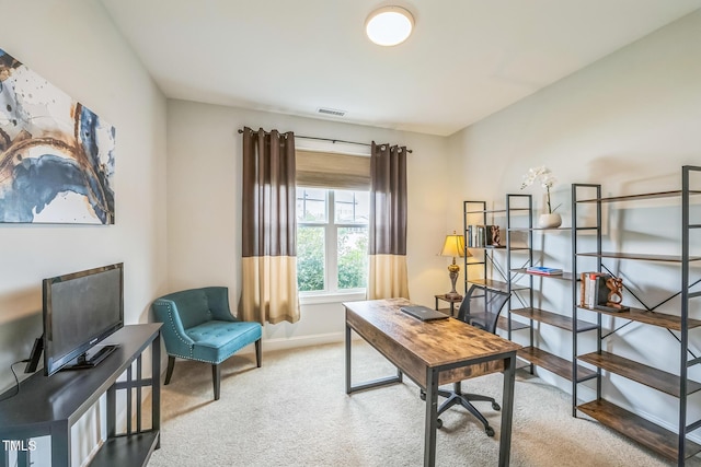 40 Two Creeks Loop, Chapel Hill, NC 27517 - office with carpet flooring and baseboards