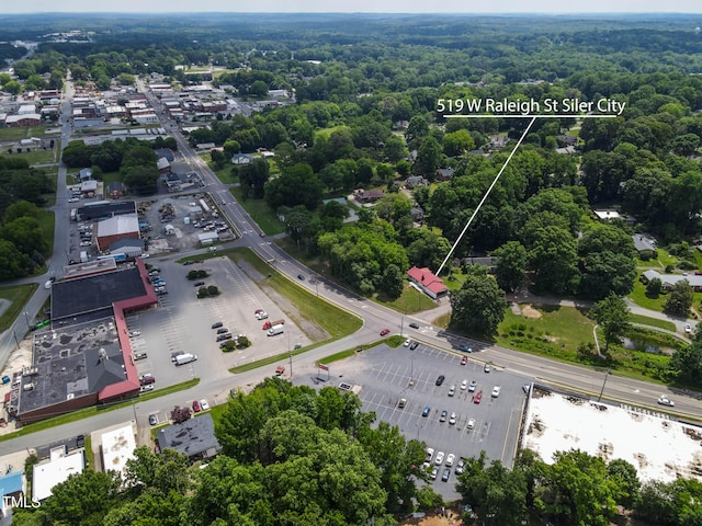 519 W Raleigh St, Siler City, NC 27344 - view of property location featuring property parcel outlined and a forest