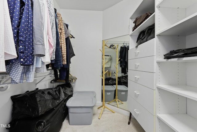 118 Killingsworth Dr, Cary, NC 27518 - walk in closet with carpet floors