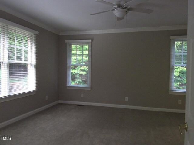12 Crail Ct, Durham, NC 27712 - photo 11