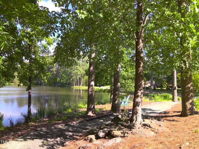 12 Crail Ct, Durham, NC 27712 - photo 26