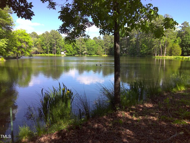 12 Crail Ct, Durham, NC 27712 - photo 27