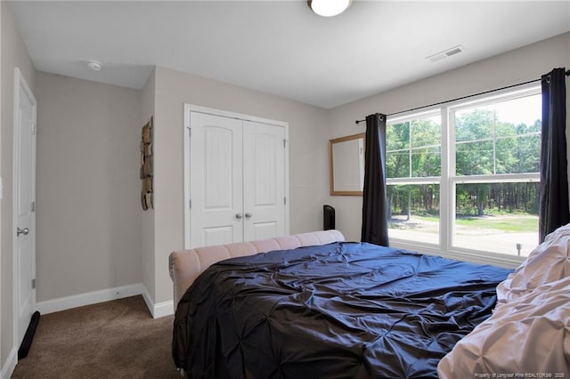 405 Shelton Beard Rd, Stedman, NC 28391 - bedroom with dark carpet, baseboards, and a closet