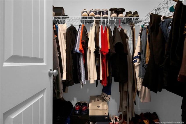 405 Shelton Beard Rd, Stedman, NC 28391 - view of walk in closet