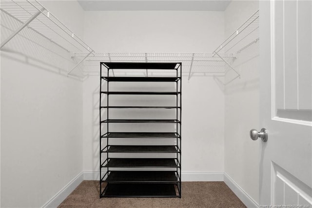 405 Shelton Beard Rd, Stedman, NC 28391 - walk in closet with carpet flooring