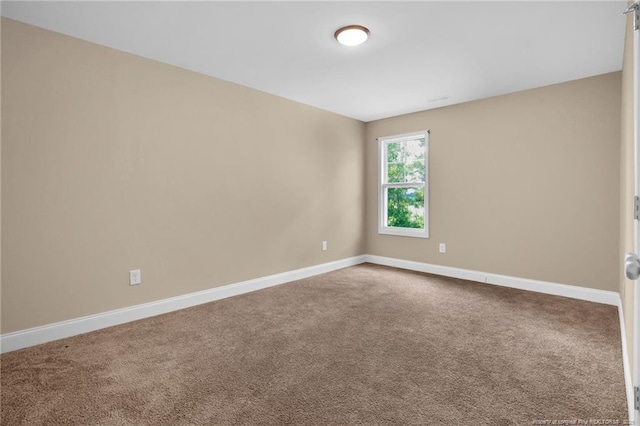 405 Shelton Beard Rd, Stedman, NC 28391 - photo 29