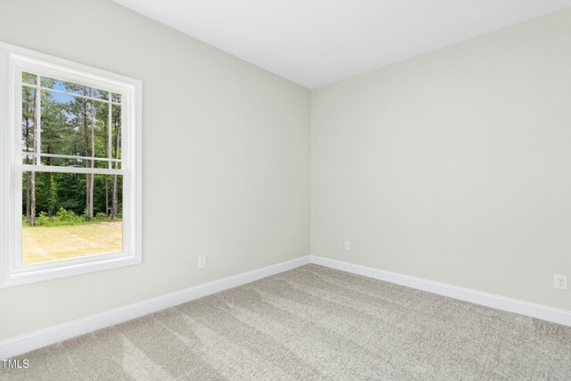 788 Shade Tree Rd, Benson, NC 27504 - photo 14