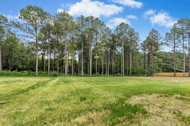 788 Shade Tree Rd, Benson, NC 27504 - photo 24