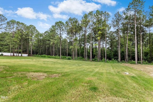 788 Shade Tree Rd, Benson, NC 27504 - photo 25