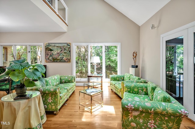 81106 Alexander, Chapel Hill, NC 27517 - living room with high vaulted ceiling and light wood-style flooring