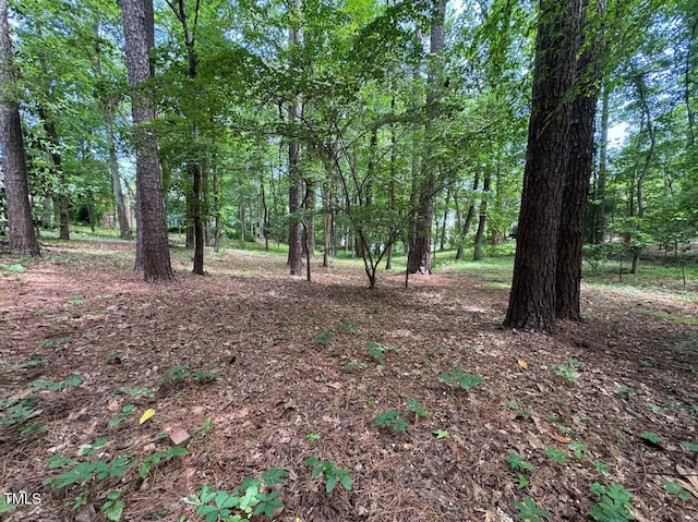 81106 Alexander, Chapel Hill, NC 27517 - view of nature