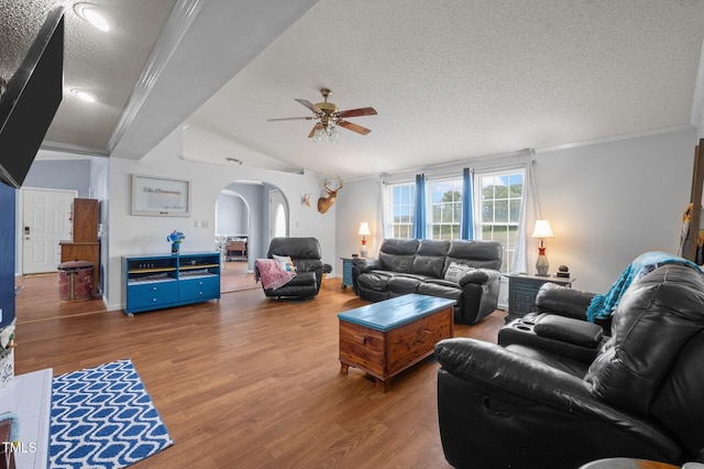1993 Lucy Garrett Rd, Roxboro, NC 27574 - living room with a textured ceiling, arched walkways, ceiling fan, wood finished floors, and vaulted ceiling