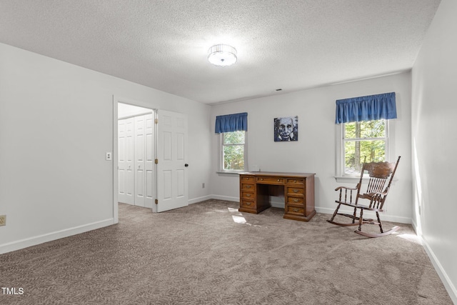 1 Gatesway Ct, Durham, NC 27707 - home office with carpet flooring and a textured ceiling