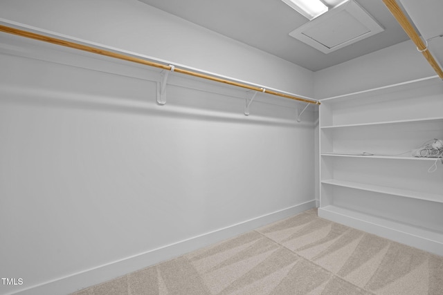 531 N Person St Unit 205, Raleigh, NC 27604 - walk in closet with carpet flooring