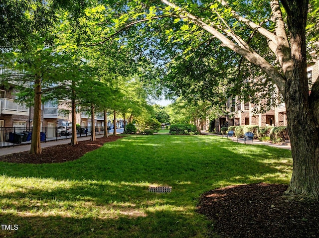 531 N Person St Unit 205, Raleigh, NC 27604 - view of green lawn