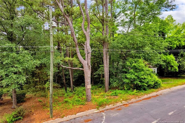245 Windsor Dr, Fayetteville, NC 28301 - photo 4