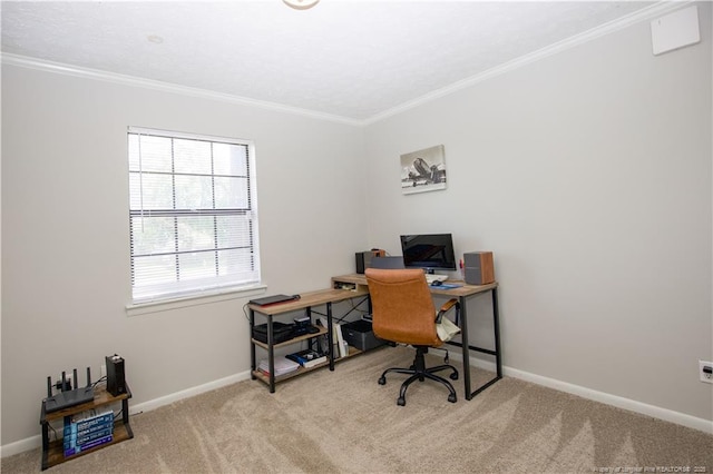 6874 Fern Creek Pl, Fayetteville, NC 28314 - office space featuring crown molding, carpet flooring, and baseboards