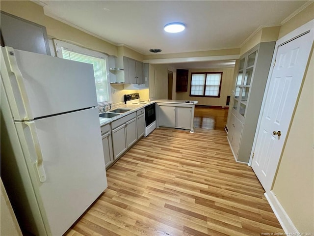 1007 Jenkins St, Lumberton, NC 28358 - kitchen featuring freestanding refrigerator, range with electric stovetop, gray cabinets, ornamental molding, and light wood finished floors