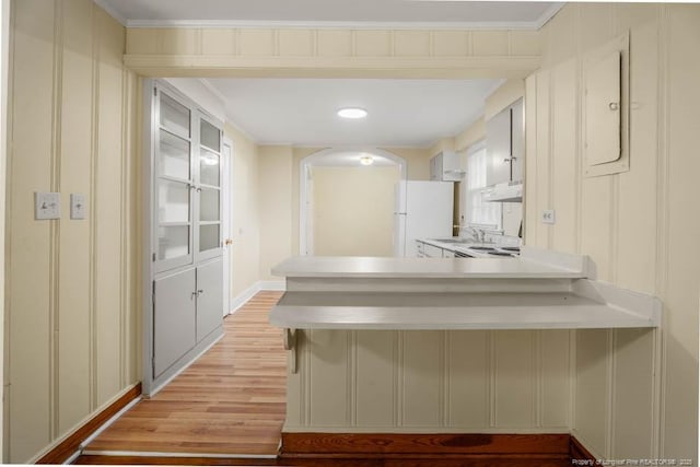 1007 Jenkins St, Lumberton, NC 28358 - kitchen featuring freestanding refrigerator, light wood-style floors, a peninsula, under cabinet range hood, and light countertops