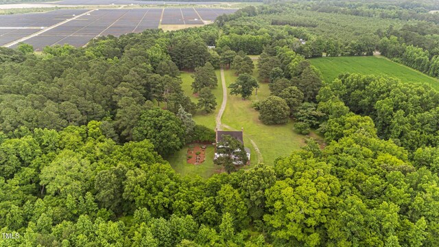 5662 Morning Star Church Rd, Battleboro, NC 27809 - photo 47