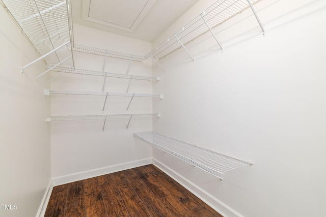 8913 Walking Stick Trl, Raleigh, NC 27615 - walk in closet featuring dark wood finished floors
