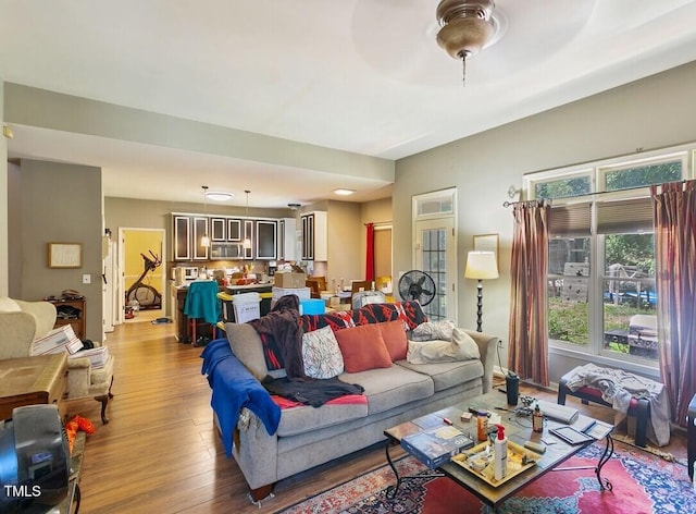 10205 Sorrills Creek Ln, Raleigh, NC 27614 - living area with wood finished floors
