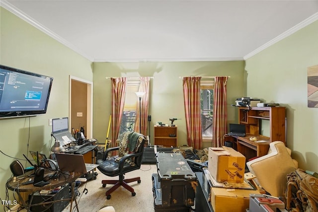 10205 Sorrills Creek Ln, Raleigh, NC 27614 - office space featuring crown molding and carpet flooring