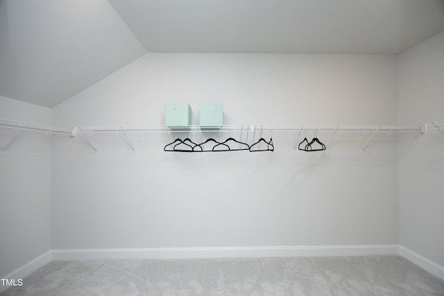609 Ramsours Mill Dr, Holly Springs, NC 27540 - spacious closet with carpet and lofted ceiling