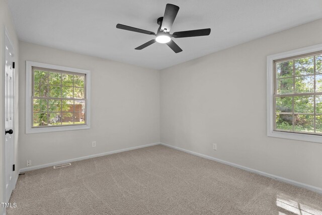 208 Essex Rd, Nashville, NC 27856 - photo 32