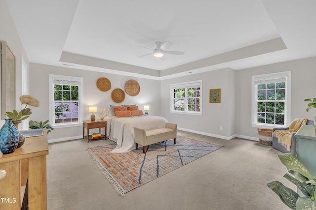 522 N Scotswood Blvd, Hillsborough, NC 27278 - carpeted bedroom featuring a tray ceiling, baseboards, and multiple windows