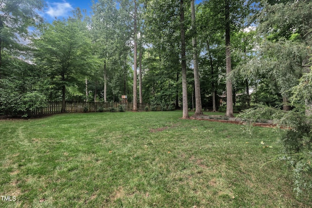 522 N Scotswood Blvd, Hillsborough, NC 27278 - view of yard