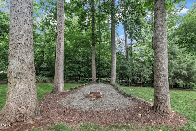 522 N Scotswood Blvd, Hillsborough, NC 27278 - view of green lawn