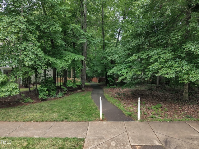 522 N Scotswood Blvd, Hillsborough, NC 27278 - view of yard