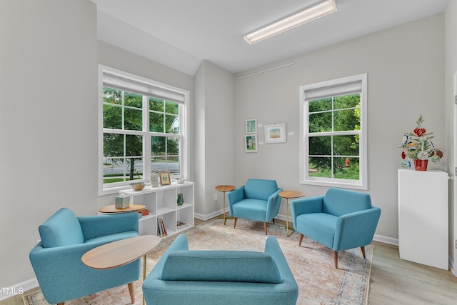 151 Bridge St, Hillsborough, NC 27278 - living area featuring plenty of natural light, wood finished floors, and baseboards