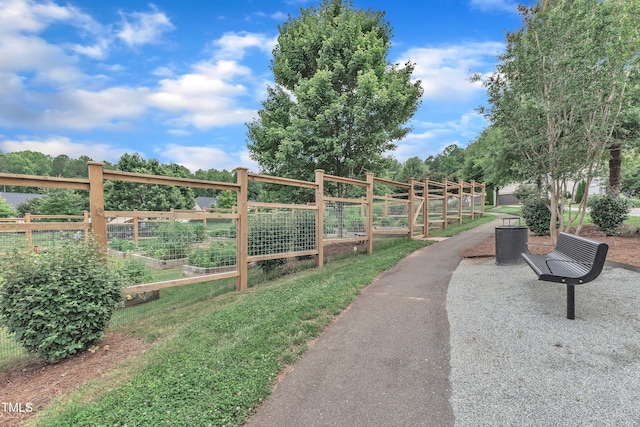 151 Bridge St, Hillsborough, NC 27278 - view of property's community with a vegetable garden