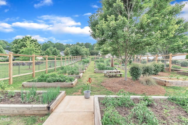 151 Bridge St, Hillsborough, NC 27278 - view of yard featuring a garden