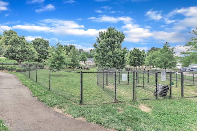 151 Bridge St, Hillsborough, NC 27278 - view of yard featuring a gate