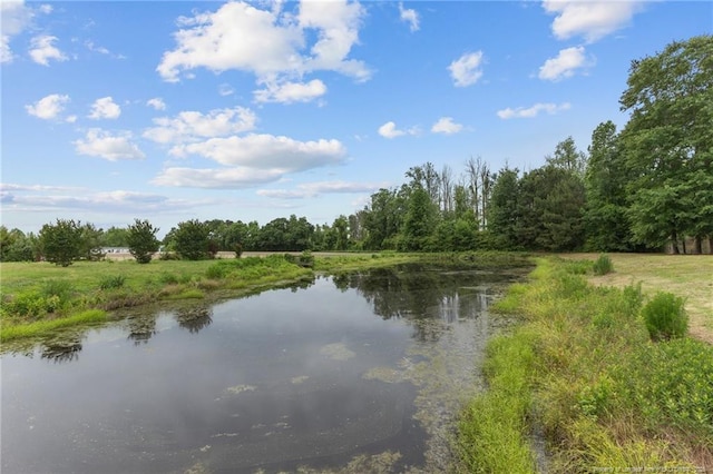 113 Atwood Ter, Stedman, NC 28391 - water view